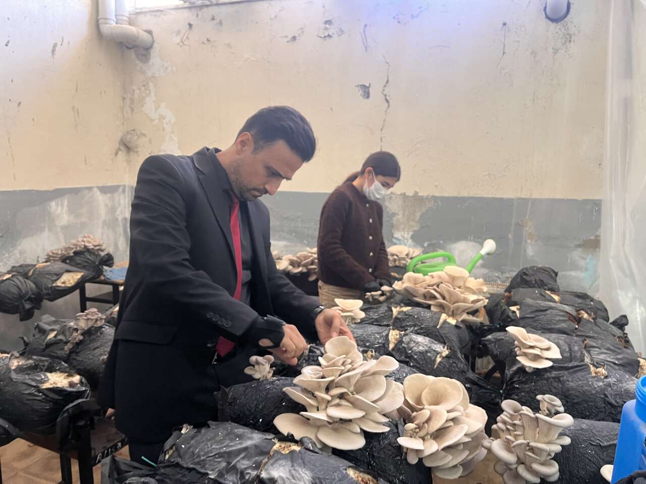 Muğla’da Öğrencilerden Mantar Projesi: Hem Öğrendiler Hem Kazandırdılar 4